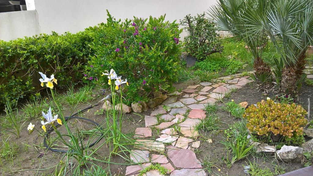 Appartamento Tulipano อาลเกโร ภายนอก รูปภาพ