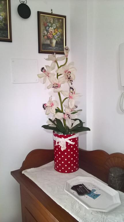 Appartamento Tulipano อาลเกโร ภายนอก รูปภาพ